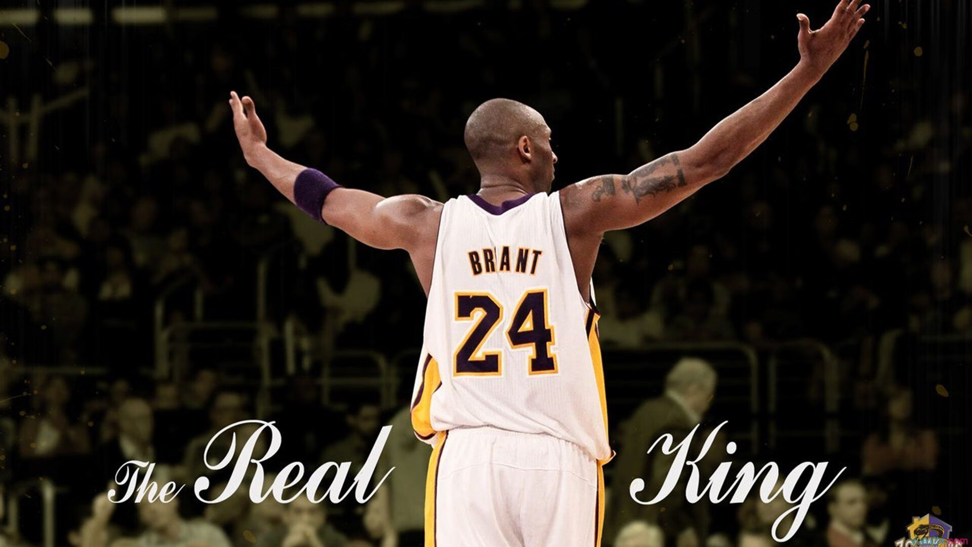 体育志愿者表彰大会举行 讲述幕后故事,体育展示志愿者