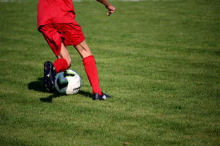 开云kaiyun-体育新闻中心发布体育短视频内容运营新策略，体育短视频存在的问题